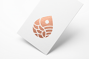 Fish Drop logo Bundle 1, a Branding & Logo Template by D | S Creative Design (Thumbnail 2 of 5)