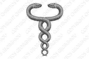 Snakes Coiled Twin Serpents Vintage, an Animal Illustration by Christos Georghiou