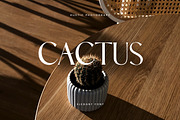 Beastly Tomahawk Classic Serif Font, a Serif Font by UICreative (Thumbnail 9 of 13)