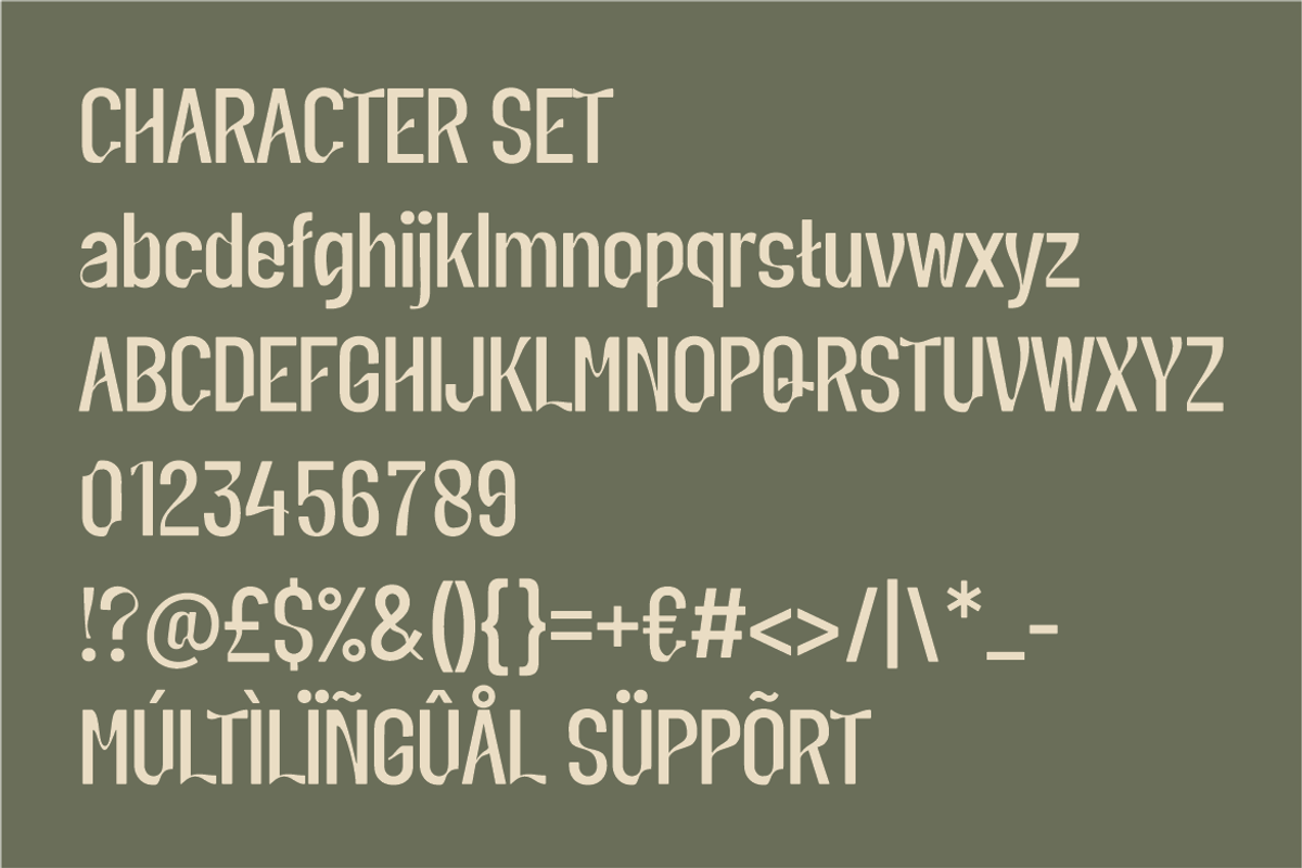 Elvora Modern Elegant Sans Font, a Sans Serif Font by PutraCetol Studio (Photo 5 of 5)