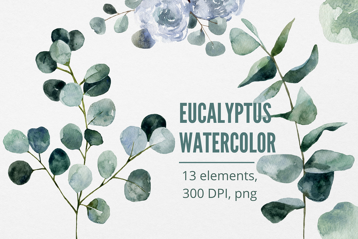 Eucalyptus watercolor clipart, an Illustration by Artcard Watercolor (Photo 1 of 9)