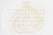 Authumn Sofia | Calligraphy Font, a Script Font by Analogous (Thumbnail 12 of 16)