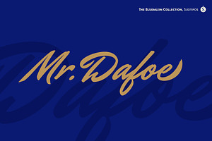Mr Dafoe Pro, a Script Font by Sudtipos