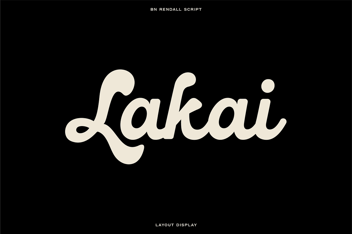 The Diverse Font Bundle, a Sans Serif Font by Bnick (Photo 18 of 34)
