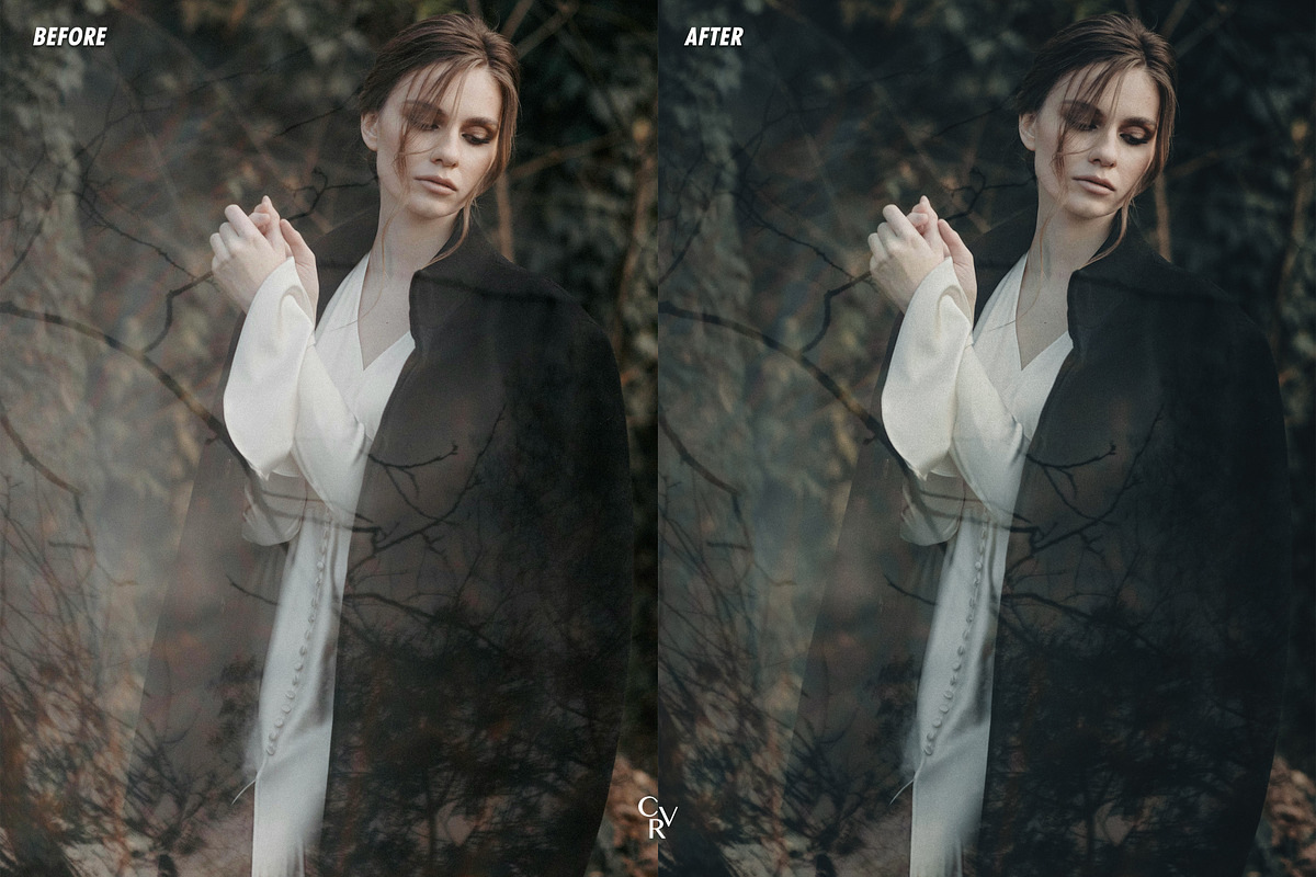 15 Gothic Lightroom Presets, a Preset Add-On by CVR Presets (Photo 7 of 8)