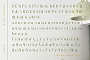 Gidglet, a Serif Font by Nathatype (Thumbnail 9 of 10)