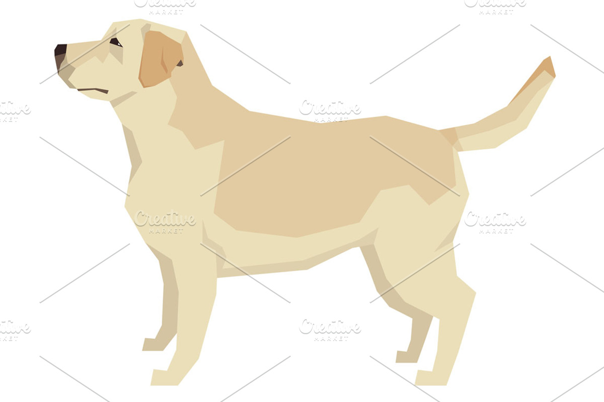 Dog breeds Labrador Retriever, an Animal Illustration by Nenilkime (Photo 2 of 3)