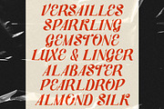Rahayoe - Aesthetic Italic Typeface, a Serif Font by zamjumps (Thumbnail 5 of 10)