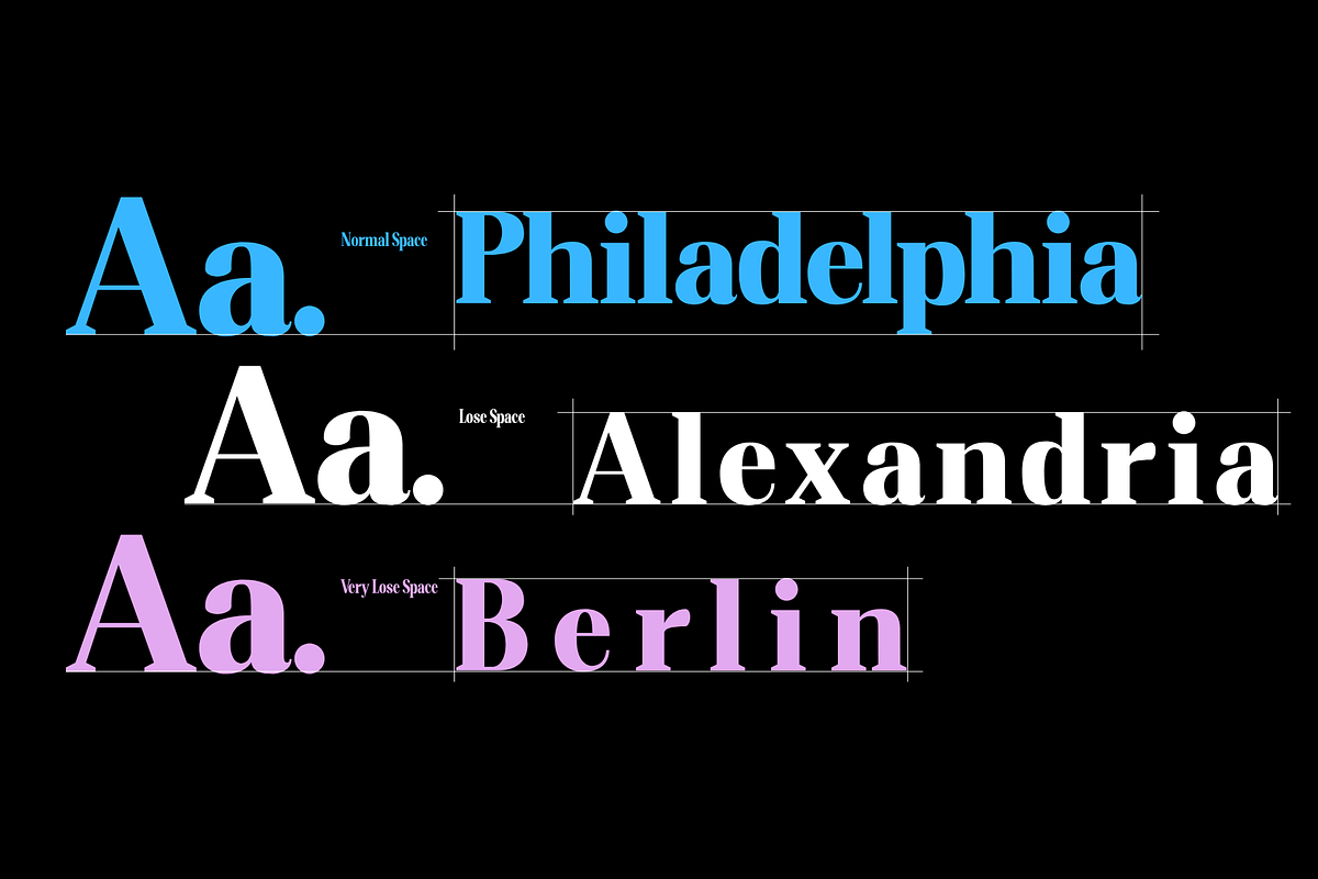 Altaries, a Serif Font by Gatype (Photo 6 of 15)