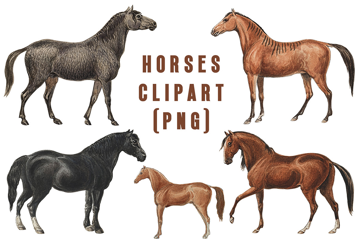 Horses Clipart, an Animal Illustration by Cool Worker (Photo 1 of 3)