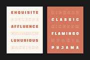 Whinstone - Bold & Cyrillic Typeface, a Sans Serif Font by alpercakici (Thumbnail 4 of 12)