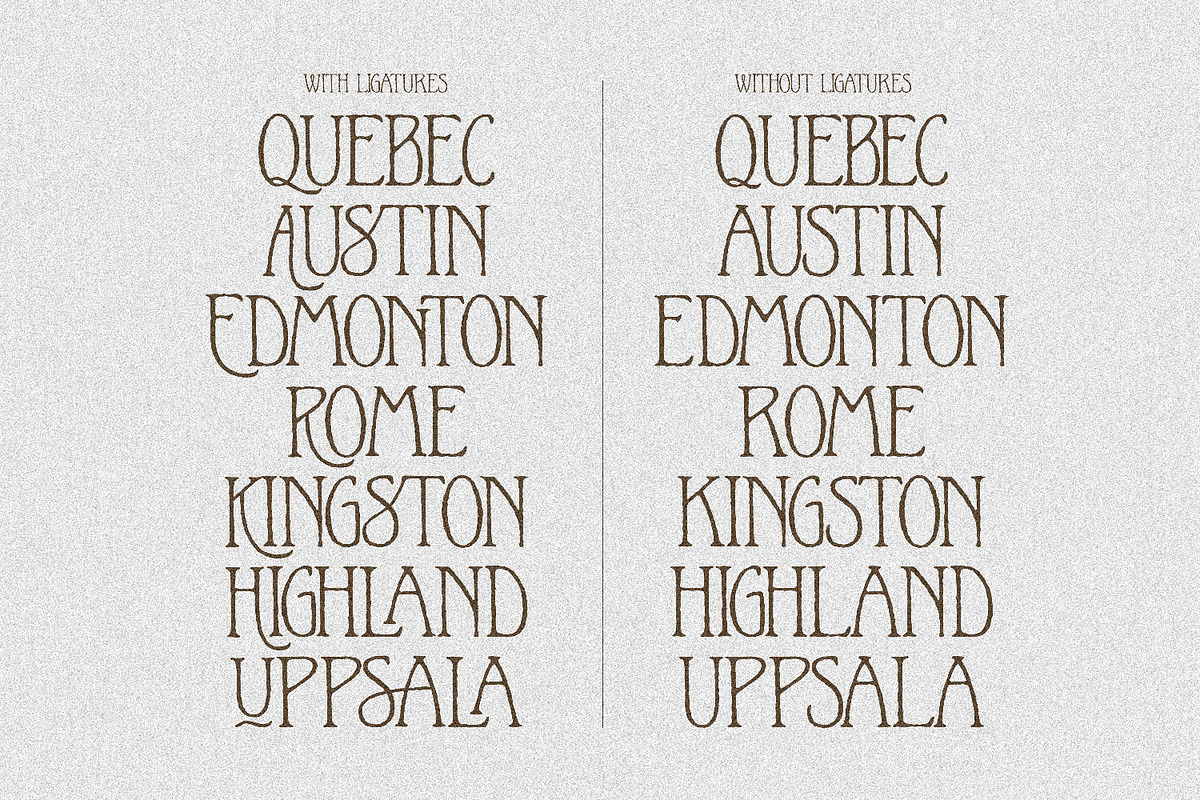 Le Petite Muse Vintage Ligature Font, a Serif Font by AndrewPixelType (Photo 10 of 11)