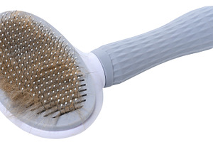 Pet brush for combing hair of cats or dogs with gray body and ha, an Animal Photo by ndanko