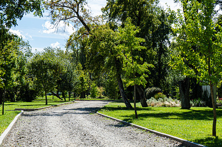 Autumnal park with trees and grass, a Nature Photo by Anna Bogush