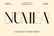 Numea - All Caps Elegant Font, a Serif Font by Pandeka Studio (Thumbnail 1 of 10)