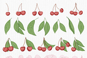 Cherry & Blossom, a Seasonal Illustration by Iryna Mel (Thumbnail 3 of 10)