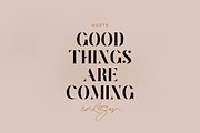 Lavagne Carlsen Type, a Serif Font by vuuuds (Thumbnail 5 of 9)