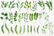 28 Watercolor Branches and Leaves, an Illustration by Helga Wigandt (Thumbnail 2 of 3)