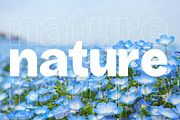 Chase Dreams Display Sans Serif Font, a Sans Serif Font by Letterena Studios (Thumbnail 7 of 15)