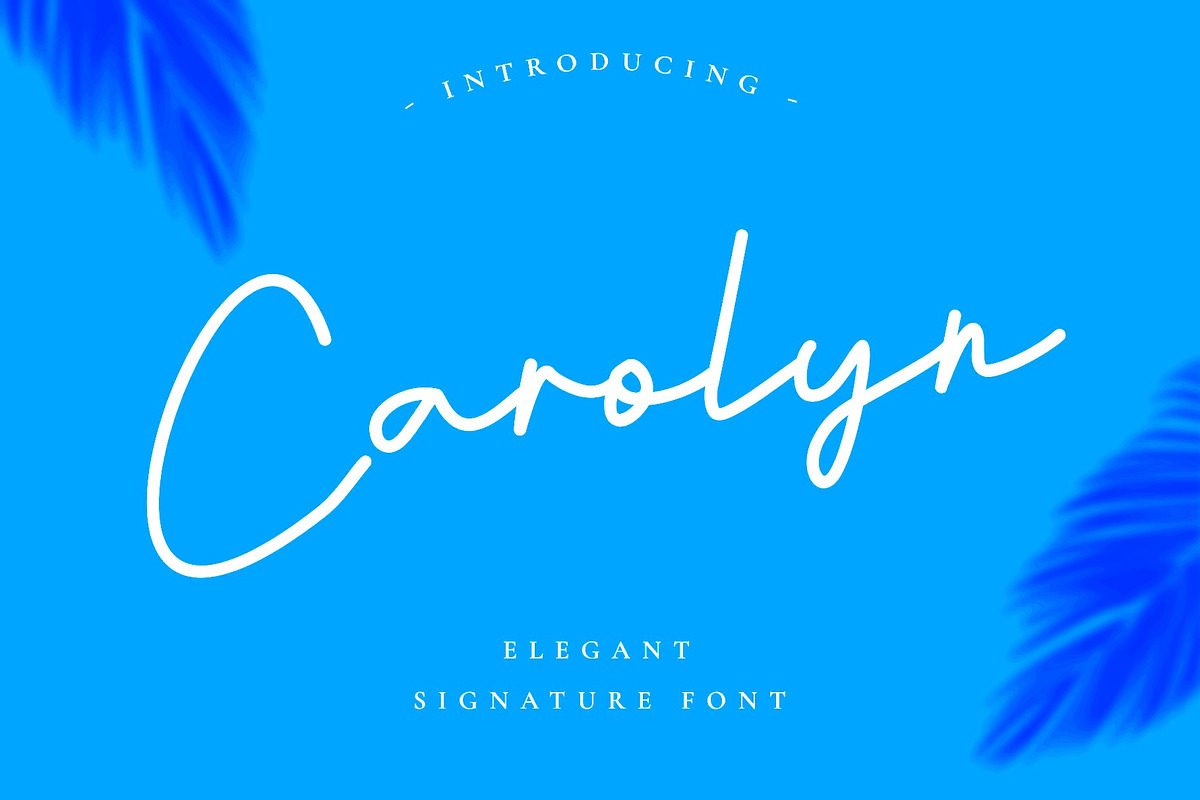 Carolyn - Signature Font, a Script Font by Intuisi Creative (Photo 1 of 10)