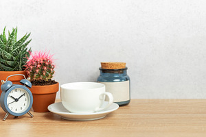 Coffee cup, alarm clock and cacti creating relaxing morning atmo, a Nature Photo by Olena Rudo
