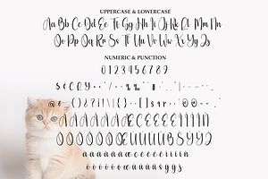 Beauty Kitten Script Font