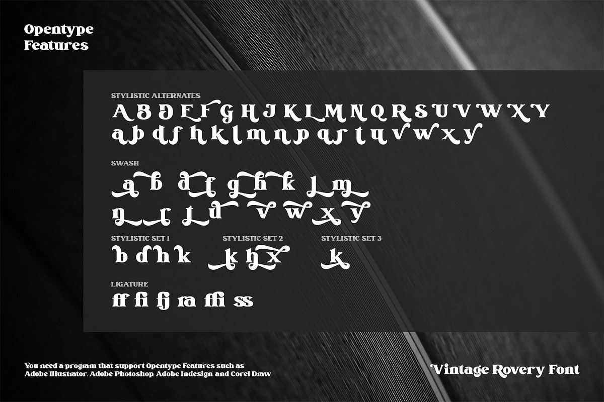 Vintage Rovery, a Serif Font by Vintage Division (Photo 10 of 10)