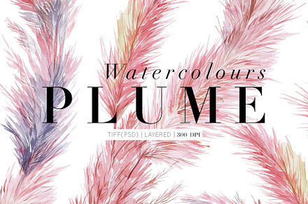 Plume, watercolour Seamless Repeats!
