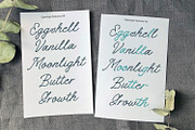 Meadow Anthem, a Handwritten Font by Nathatype (Thumbnail 9 of 11)