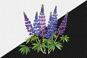 Wild Flowers, Butterflies and Dragon, an Illustration by Creative Art (Thumbnail 4 of 9)
