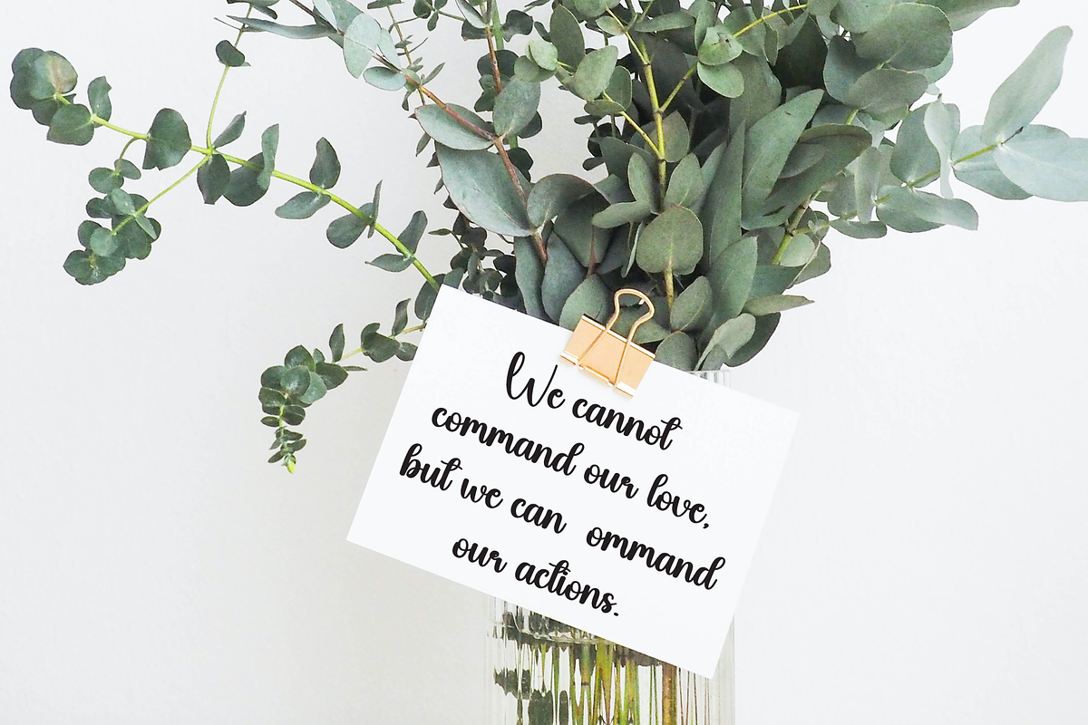 Quality | Script Font, a Handwritten Font by Scratchones (Photo 5 of 9)