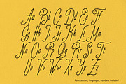 La Fine Signature Elegant Script, a Script Font by Struvictory.art (Thumbnail 5 of 9)