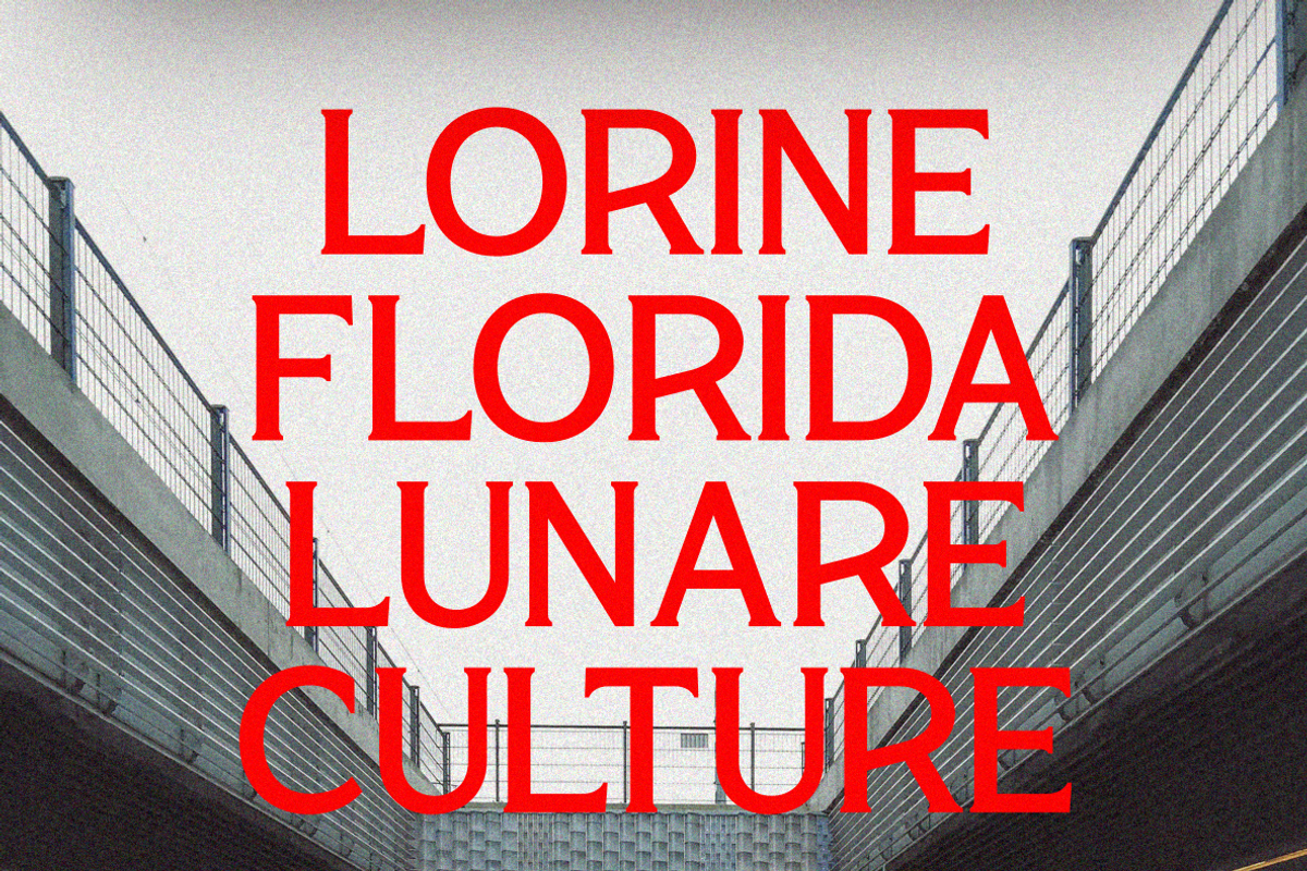 Lorine, a Serif Font by zeenesia (Photo 12 of 14)