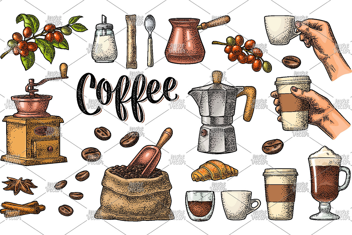 Set coffee vector engraving, a Food Illustration by MoreVector (Photo 4 of 4)