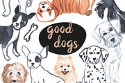 Good dog. Animal set, an Animal Illustration by Anyuka (Thumbnail 1 of 6)