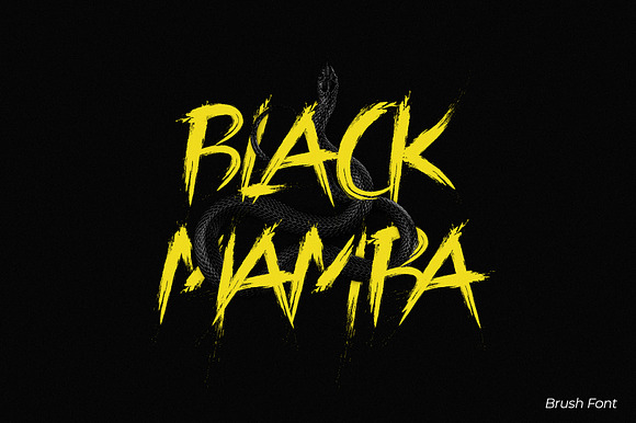 Black Mamba Vol.1 Brush Font preview 8