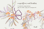 Sea buckthorn clipart and patterns, a Decorative Illustration by Shabbypie (Thumbnail 3 of 7)