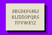 Dream Work Classic Modern Serif, a Serif Font by UICreative (Thumbnail 12 of 12)