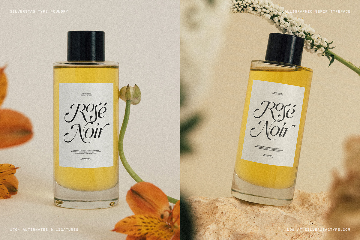 Netsera Calligraphic Serif Typeface, a Serif Font by SilverStag Type Foundry (Photo 22 of 30)