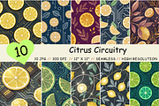 Citrus Circuitry Digital Paper, a Pattern Graphic by FloridPrintables (Thumbnail 1 of 6)