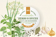 Herbs and spices watercolors, a Healthcare Illustration by handsketched (Thumbnail 1 of 6)