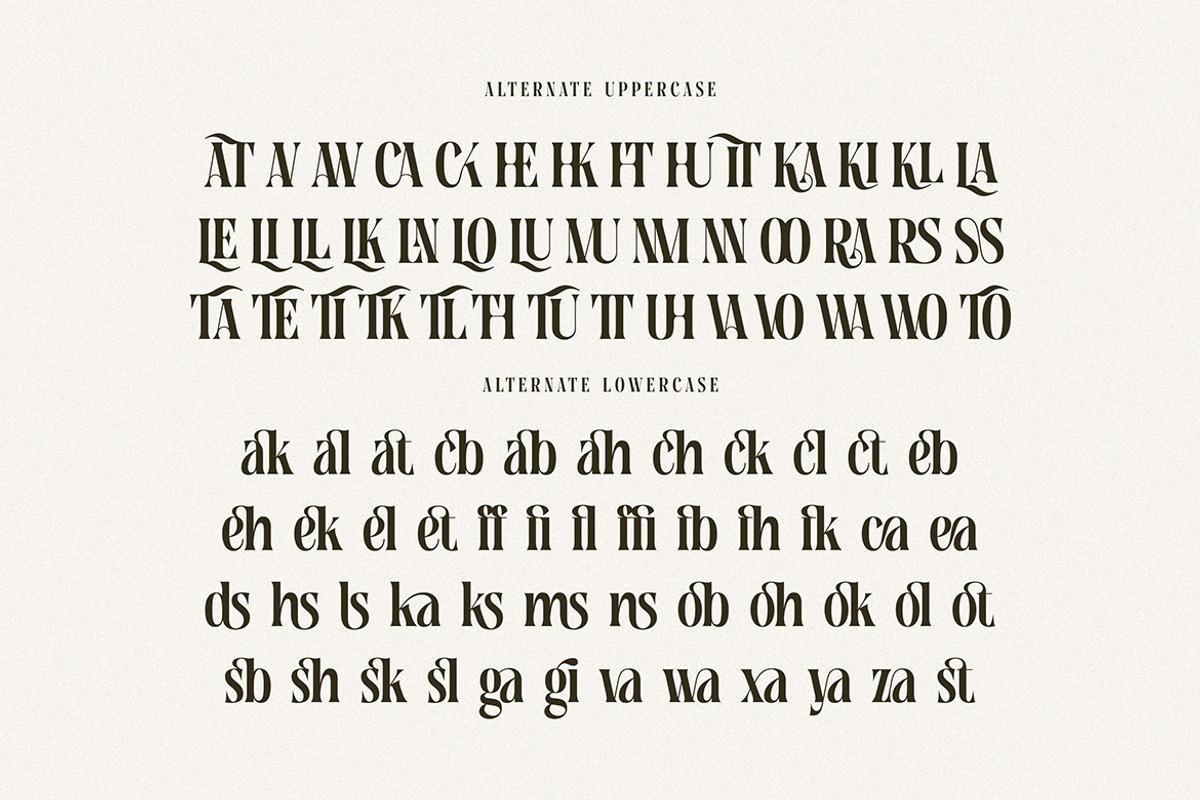 Tersakiti Elegant Modern Serif, a Serif Font by Cruzine (Photo 7 of 8)