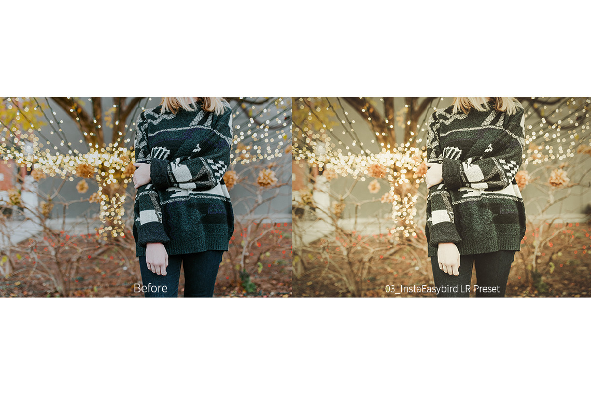 Instagram Filters Lightroom Presets preview 5