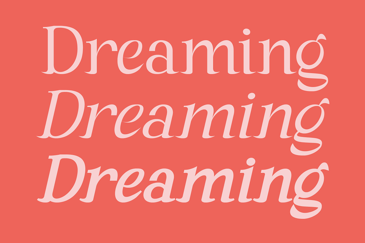Andaman an Experimental Serif Font, a Serif Font by Lettertype Studio (Photo 3 of 15)