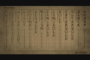 Takashimura Typeface, a Serif Font by alit design (Thumbnail 17 of 18)