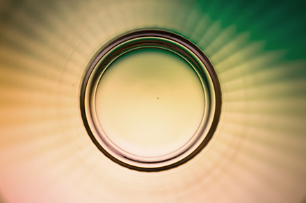 Crystal Circle (2nd Photo For Free)