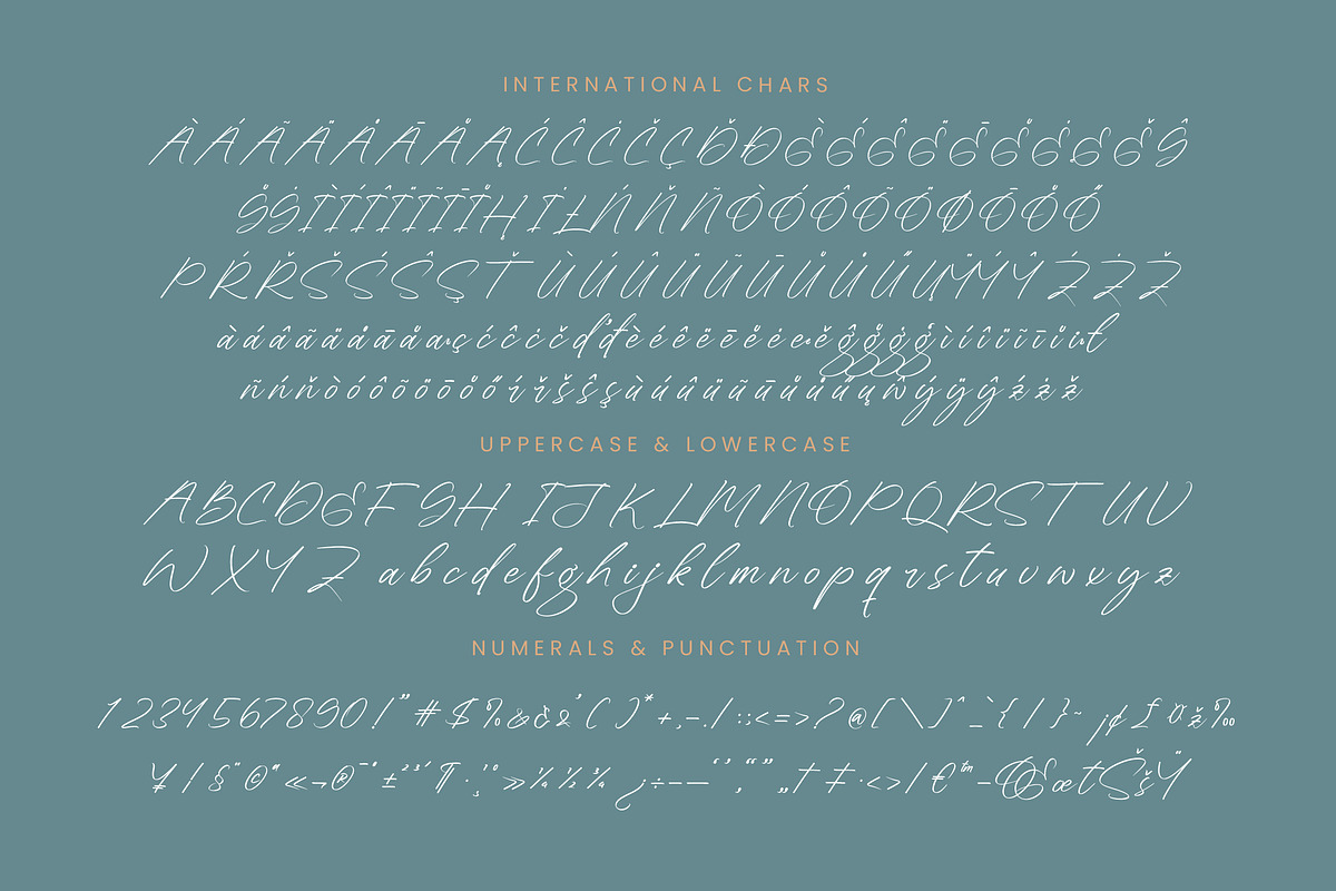 Sheyotu Etrella Stylish Handwritten, a Script Font by stylishtype.co (Photo 18 of 20)