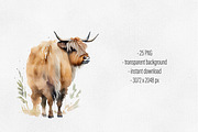 Highland cow, Highland cow 25 PNG, an Animal Illustration by Illustrator Space (Thumbnail 6 of 6)