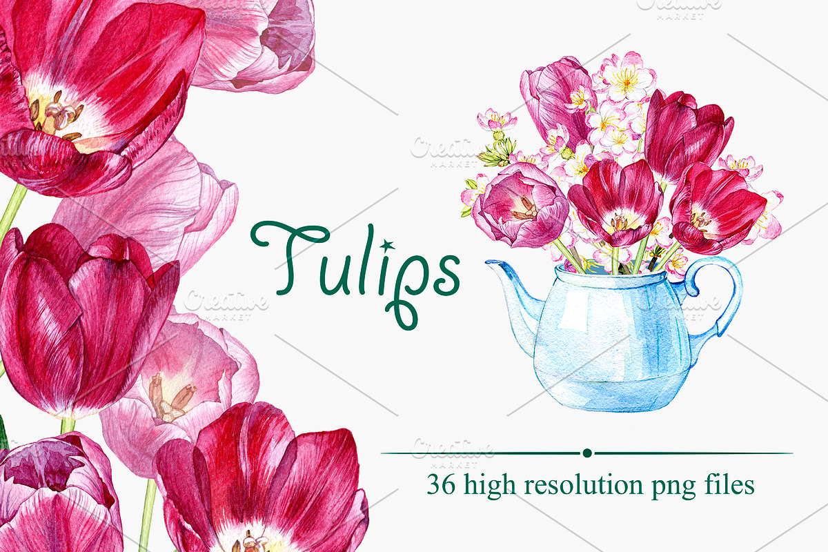 Tulips, an Illustration by OlyaSenko (Photo 1 of 6)