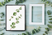 Procreate Watercolor Flowers Stamps, a Brush Add-On by RadekBroz (Thumbnail 4 of 8)